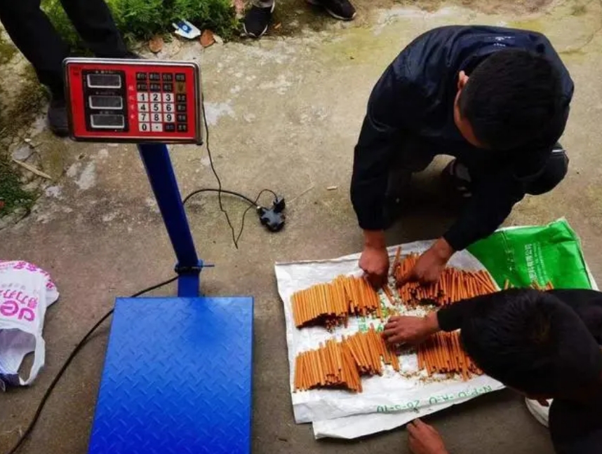 19人落網(wǎng)，涉案金額2000余萬元！涼山警方破獲一起重大制售偽劣卷煙案