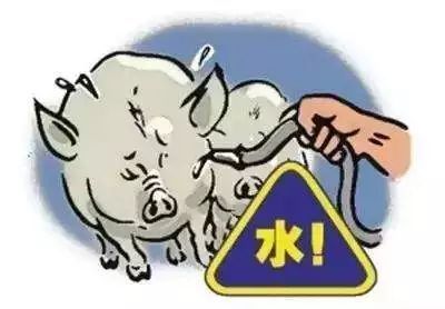 給生豬打藥注水？要判重刑！ 河南安陽有人因此被判13年并處罰金530萬